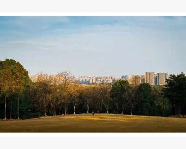 平常吃什么补脾胃 呵护身体健康