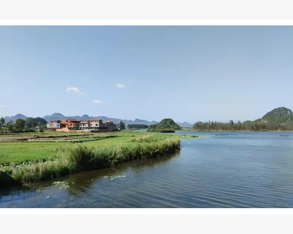 平肝清肺补肾养脾胃：中医养生之道