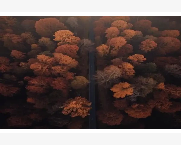 祛湿驱寒，止痛经——中医带给你健康的秘方